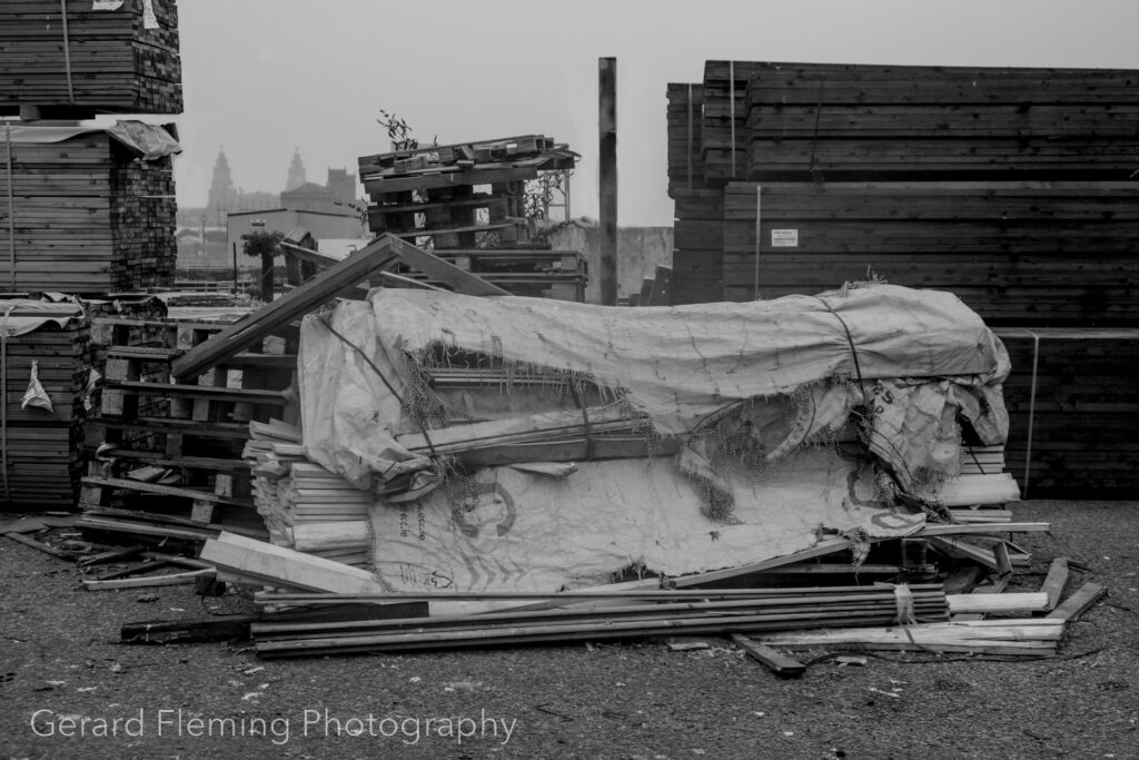 liver building liverpool