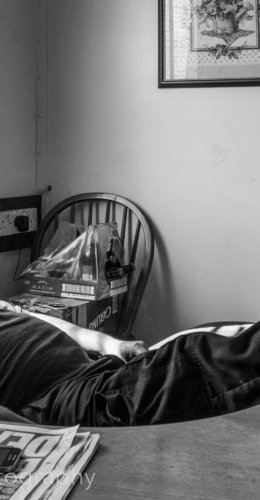 photo journalism