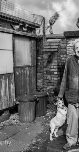 the people of liverpool by photographer gerard fleming